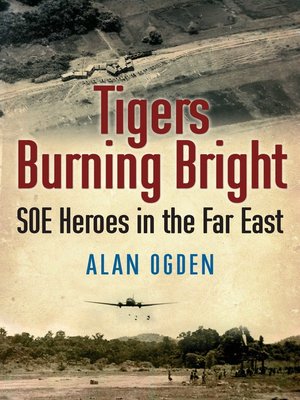 cover image of Tigers Burning Bright